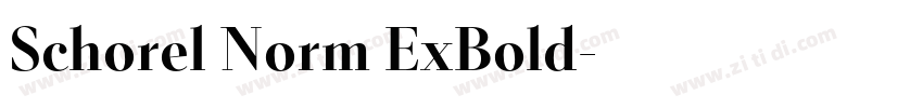 Schorel Norm ExBold字体转换 Schorel Norm ExBold字体转换